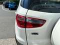 Ford EcoSport 1.0 EcoBoost 125 CV Titanium Weiß - thumbnail 16