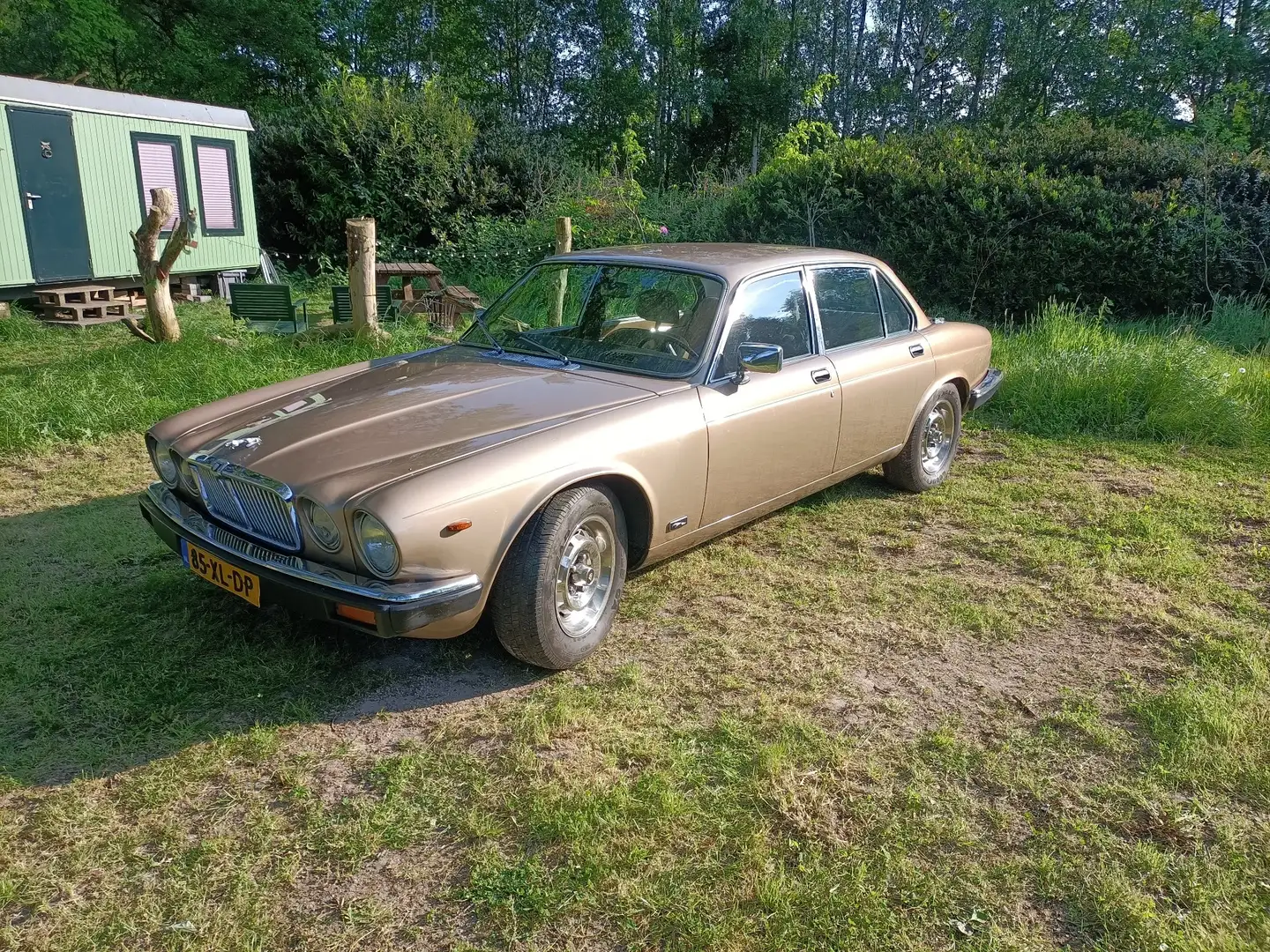 Jaguar XJ6 Goud - 1