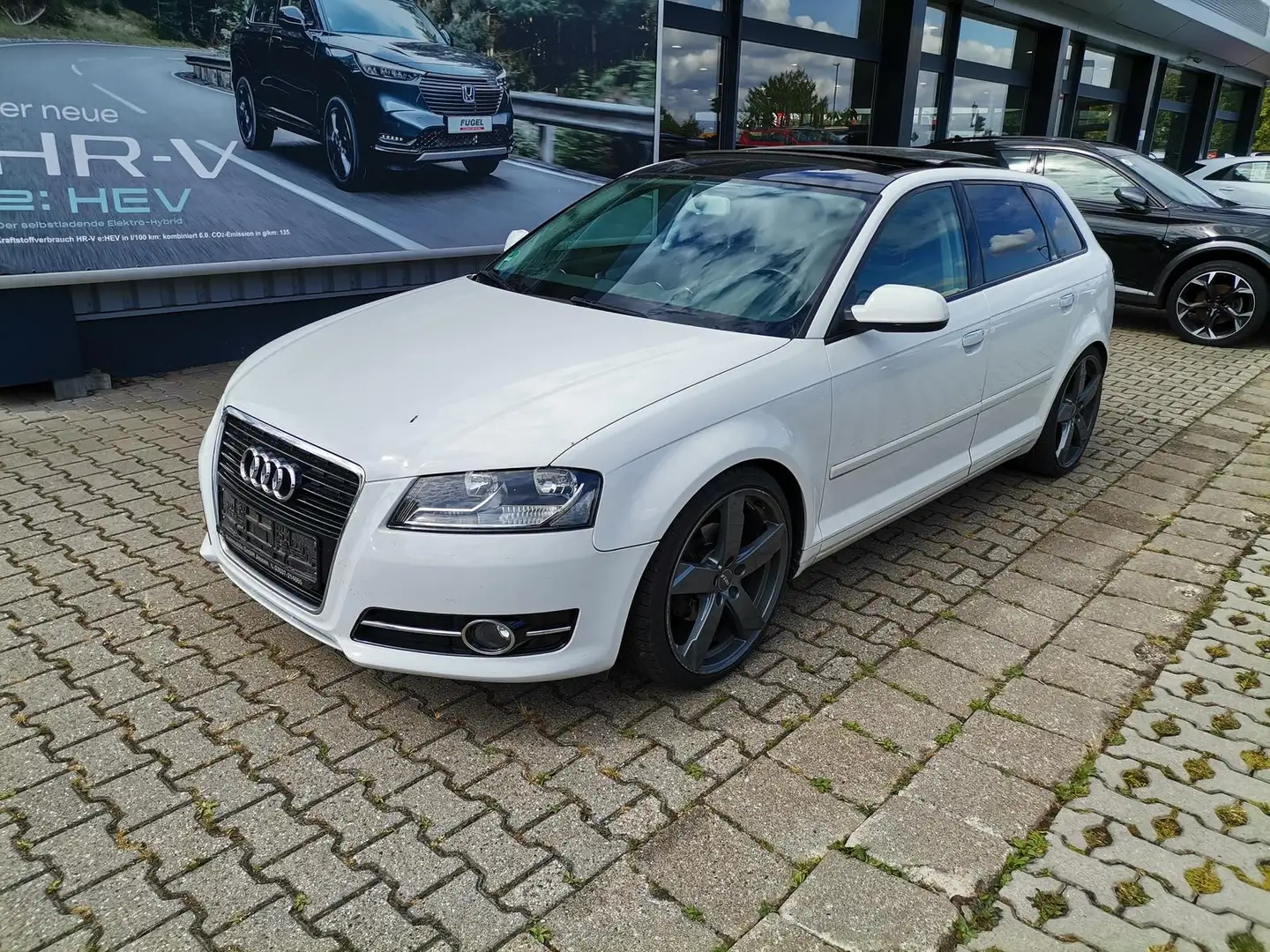 Audi A3 1.4 TFSI 1.Ambition SHZ|Pano|Alu19 Z. Weiß - 2