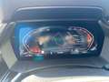 BMW Z4 SDRIVE20I Sport Line SAG HiFi HUD adapt LED Rot - thumbnail 14