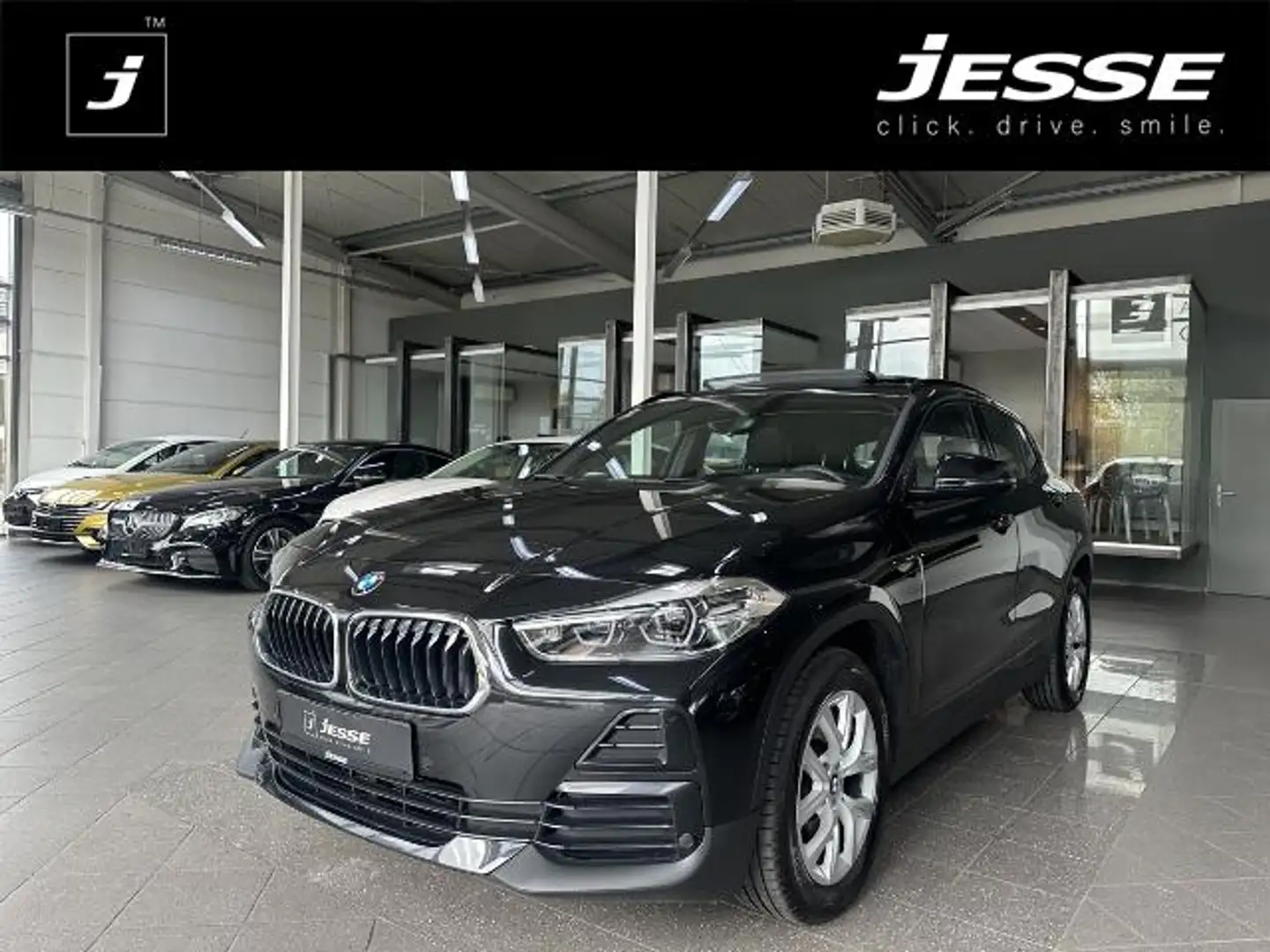 BMW X2 sDrive20d Advantage Plus LED Navi Pano. R.Cam Černá - 1