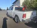 RAM 1500 Crew Cab Limited Weiß - thumbnail 3