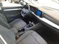 Volkswagen Golf Variant 8 VARIANT 1.5 TGI LIFE 130CV Bianco - thumbnail 11