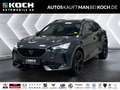 CUPRA Formentor 2.0TSI DSG VZ 4Drive TOPVIEW PARKL LED Grau - thumbnail 1