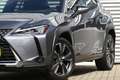 Lexus UX 250h Luxury Line Leer Grijs - thumbnail 6