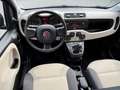 Fiat Panda 1.2 Edizione Cool met Trekhaak en Garantie. Zwart - thumbnail 6