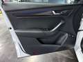 Skoda Karoq Karoq 2,0 TDI DSG Sportline Weiß - thumbnail 24