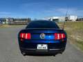 Ford Mustang GT KONABLUE V8 4,6 litres 305 chevaux Blu/Azzurro - thumbnail 8