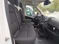 Fiat Ducato Ch.Cb. Maxi 35 2.2BlueHDi L3 H1 103KW Blanco - thumbnail 12