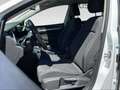 Volkswagen Golf 8ª serie 1.0 TSI EVO Life ***TASSO ZERO*** Blanc - thumbnail 13