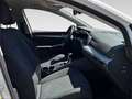 Volkswagen Golf 8ª serie 1.0 TSI EVO Life ***TASSO ZERO*** Blanc - thumbnail 14