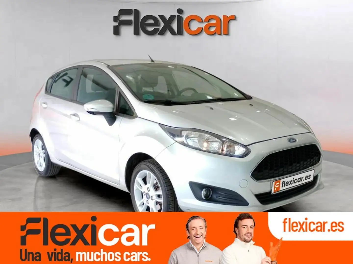 Ford Fiesta 1.25 Duratec 60kW (82CV) Trend 5p Gris - 1