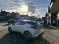 Toyota C-HR 1.8 Hybrid Style Ultimate 1e eigenaar / slechts 7. Blanc - thumbnail 7