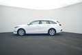 Kia Ceed SW / cee'd SW CEED_SW 1.0T 100 VIS STD Wit - thumbnail 9