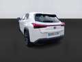 Lexus UX 250h 2.0 Executive Navigation Amarillo - thumbnail 6