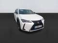 Lexus UX 250h 2.0 Executive Navigation Amarillo - thumbnail 3