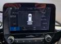 Ford Fiesta 1.0 125PK EcoBoost Mild-Hybrid A/T Titanium Apple Grijs - thumbnail 13