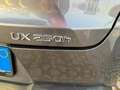 Lexus UX 250h Hybrid Business AZIENDALE ITALIANA KM CERTIFICA Gris - thumbnail 15