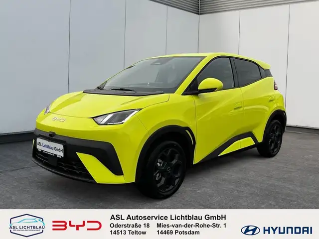 BYD Dolphin Surf