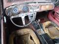 Oldtimer Datsun 1600 Fairlady 1600 Rouge - thumbnail 12