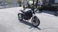 Benelli Leoncino trail - thumbnail 6