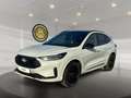 Ford Kuga KUGA SOUND EDT CVT Weiß - thumbnail 1