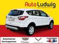 Ford Kuga 1,5 EcoBoost Trend Start/Stop *SHZ*TEMPOMAT* Blanc - thumbnail 2