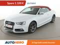 Audi S5 3.0 V6 TFSI quattro Aut.*NAVI*B&O*ACC*CAM*SHZ*PDC* Gri - thumbnail 1