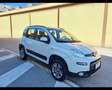 Fiat Panda 4x4 1.3 Multijet Bianco - thumbnail 6