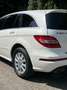 Mercedes-Benz R 350 R 350 CDI DPF 4Matic 7G-TRONIC - thumbnail 7