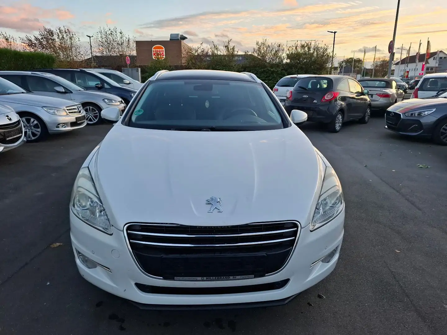 Peugeot 508 SW Business-Line Bianco - 2