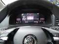 Skoda Karoq Active   virt. Cock   LED   DAB   Tempo Schwarz - thumbnail 11
