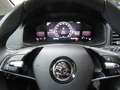 Skoda Karoq Active   virt. Cock   LED   DAB   Tempo Schwarz - thumbnail 10