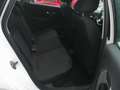 Volkswagen Polo 5p 1.6 tdi Comfortline 90cv Bianco - thumbnail 13