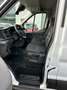 Ford Transit 2.0d L2H2 Cruise Camera Carplay Clima Pdc Gps170pk Weiß - thumbnail 7