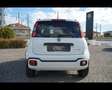 Fiat Panda Cross 1.0 FireFly Hybrid Bianco - thumbnail 6