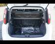 Fiat Panda Cross 1.0 FireFly Hybrid Bianco - thumbnail 13