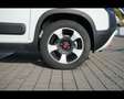 Fiat Panda Cross 1.0 FireFly Hybrid Bianco - thumbnail 14