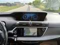 Citroen Grand C4 Picasso e-HDi 115 6-Gang Exclusive Rot - thumbnail 19