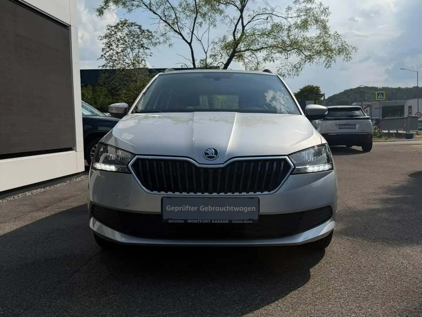 Skoda Fabia Active Grau - 2