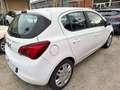 Opel Corsa Corsa 1.2 5 porte Advance Weiß - thumbnail 3