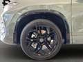 Volkswagen Tayron R-Line (BlackStyle/Matrix/7Sitze) 2.0 l TSI 4MOTIO Vert - thumbnail 15