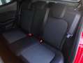 Ford Fiesta 5p1.5 tdci ST-Line 85CV Tagliandi Ford 2 Set Gomme Rosso - thumbnail 10