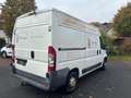 Peugeot Boxer Weiß - thumbnail 5