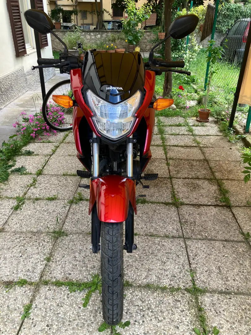 Honda CB 125 F Rosso - 2