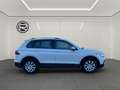 Volkswagen Tiguan 1.5 TSI, "ACTIVE", DSG im KD.-Auftrag Weiß - thumbnail 4