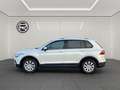 Volkswagen Tiguan 1.5 TSI, "ACTIVE", DSG im KD.-Auftrag Weiß - thumbnail 3