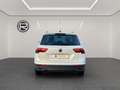 Volkswagen Tiguan 1.5 TSI, "ACTIVE", DSG im KD.-Auftrag Weiß - thumbnail 8