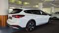 Ford Focus Active/ACC/Apple/B&O/DAB/Matrix/Spur/Totw Bianco - thumbnail 5