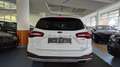 Ford Focus Active/ACC/Apple/B&O/DAB/Matrix/Spur/Totw Bianco - thumbnail 6